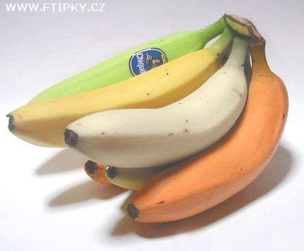 banany_multicolor[1].jpg