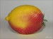 genetically_modified_lemon[1].jpg